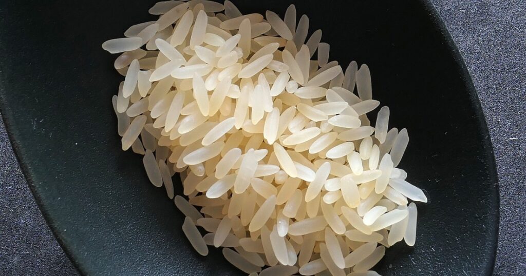 玄米やお米に発生した米虫（コクゾウムシ）の駆除方法
